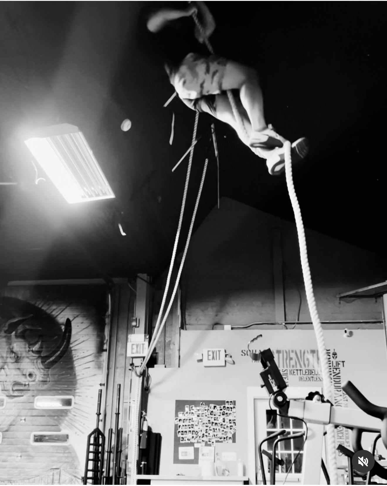 Multi shorts - OVR & OUT