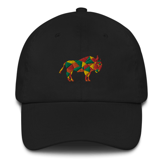 Coast Range Buffalo Dad hat - OVR & OUT